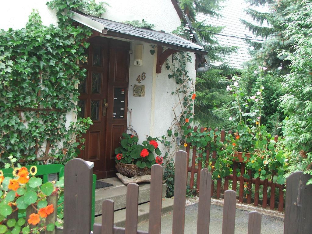 Ferienwohnung Grenzblick Курорт Обервизенталь Экстерьер фото